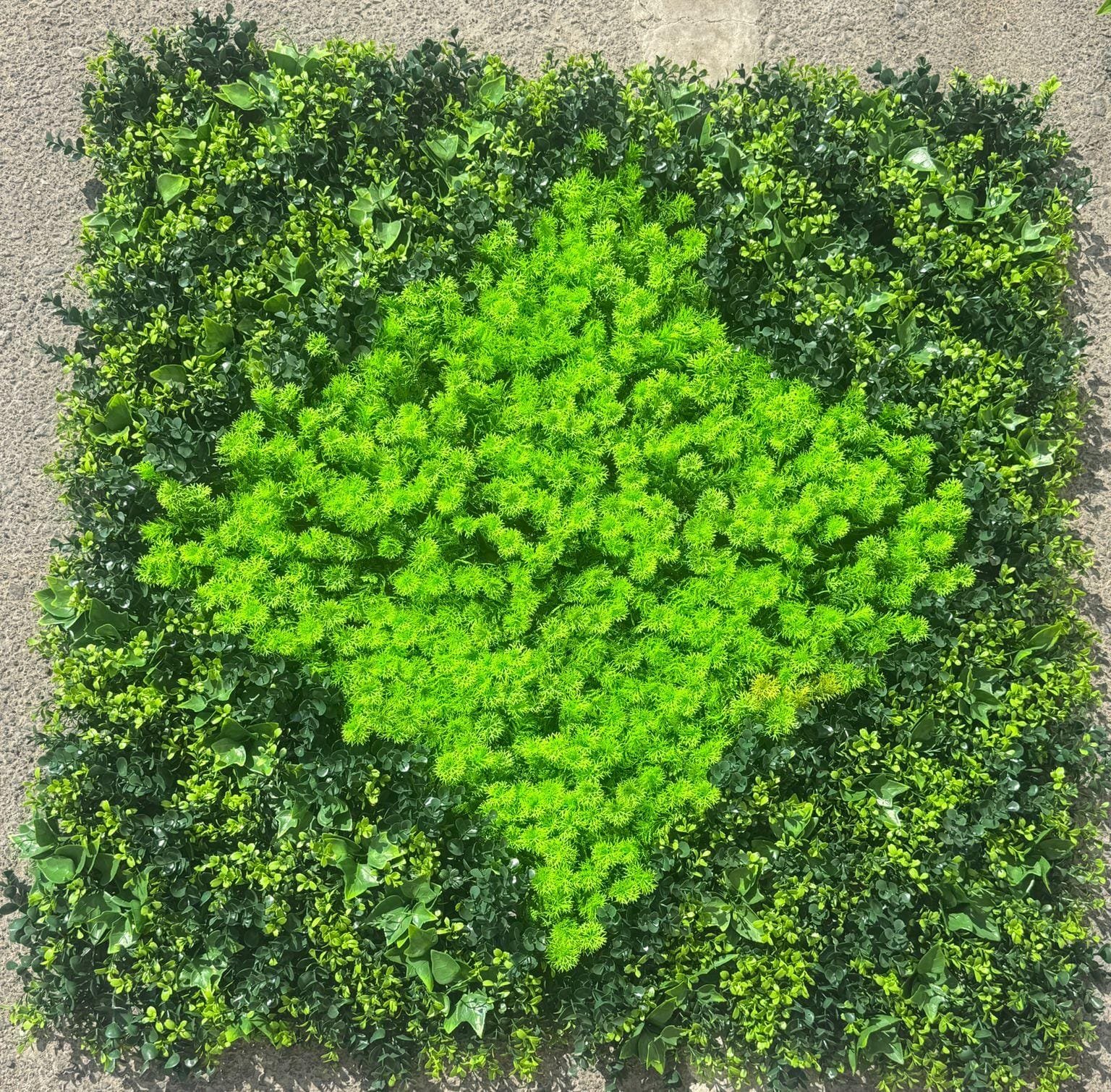 Leaf 1 — green foliage panel with a bright green centre