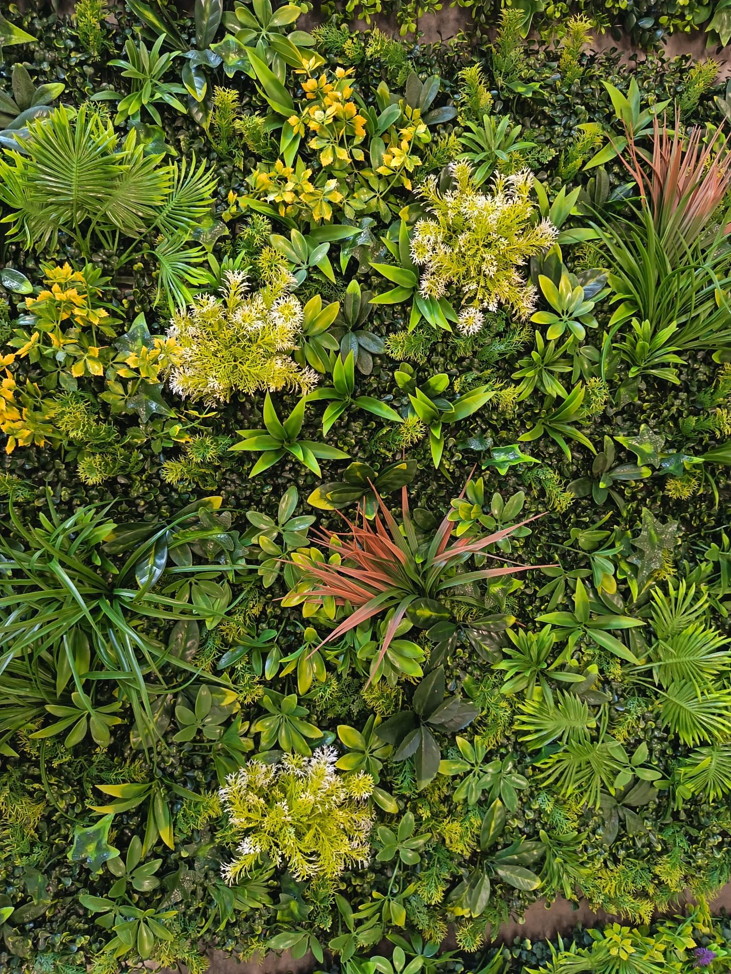 Leaf 2 — Mixed green foliage with yellow and reddish accents