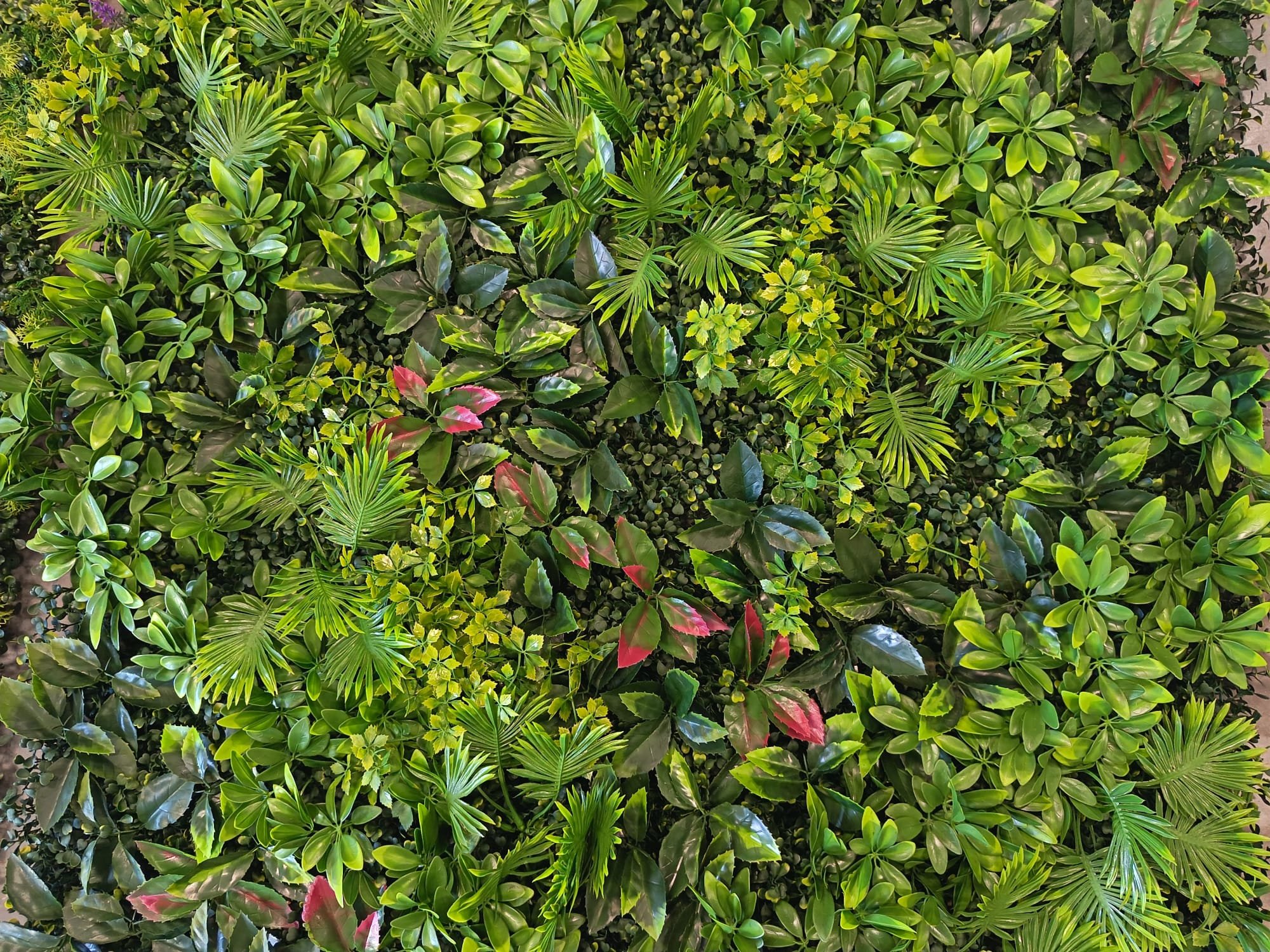 Leaf 3 — Mixed green foliage with pink accents