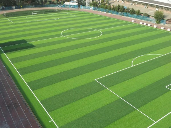 Football grass category example